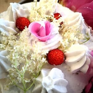 FRAISIER
